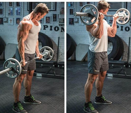 Barbell Curl