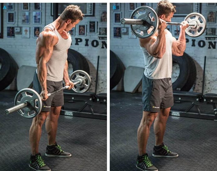 Barbell Curl Barbell Curl