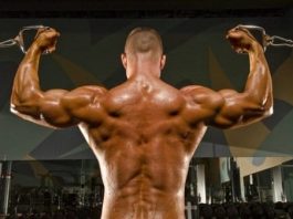 High cable curl nasıl