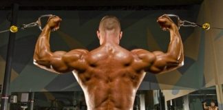 High cable curl nasıl