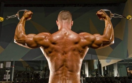 High Cable Curl | Nasıl Yapılır? | Nereyi Çalıştırır? High cable curl nasıl
