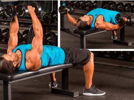 dumbbell fly nereyi çalıştırır