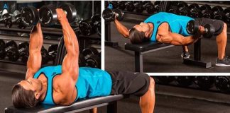 dumbbell fly nereyi çalıştırır