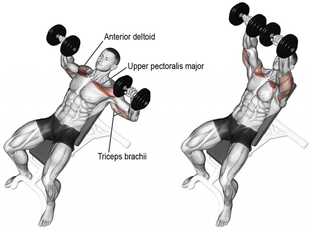 incline-dumbbell-press-nas-l-yap-l-r-fitnessandbeast