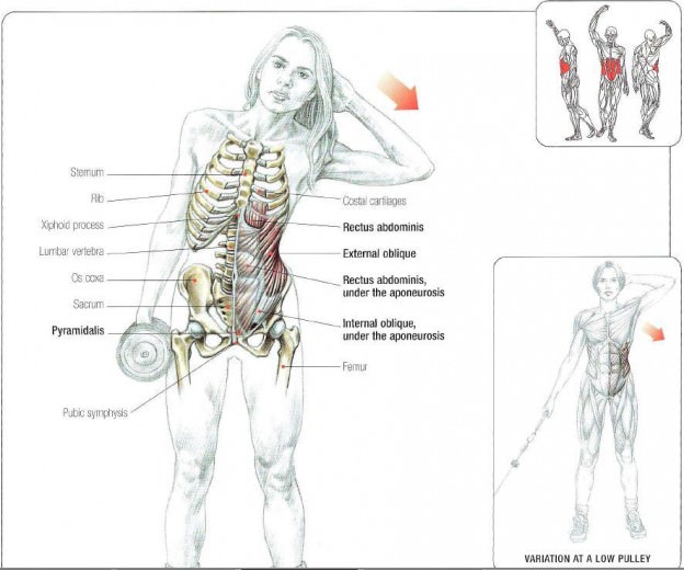 dumbbell side bend kas