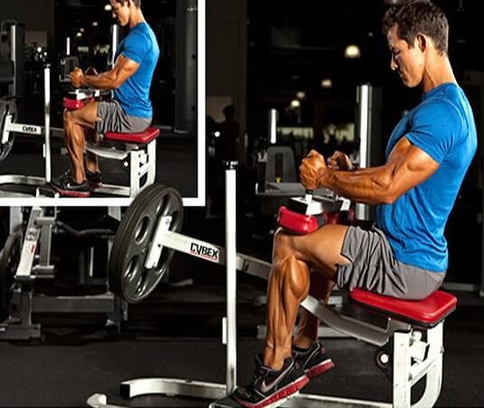 Oturarak Kalf Çalışması