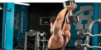 Overhead Dumbbell Triceps Extension | Nasıl Yapılır? Seated Dumbbell Triceps Extension