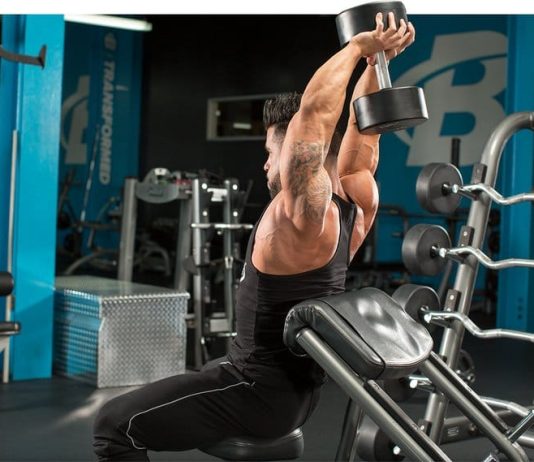 Seated Dumbbell Triceps Extension