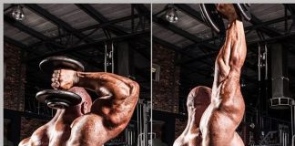 One Arm Dumbbell Triceps Extension One Arm Dumbbell Triceps Extension