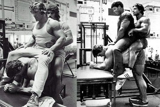 Donkey Calf Raise