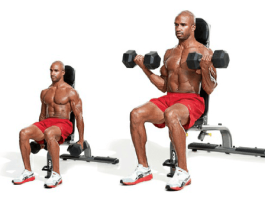 seated biceps dumbbell