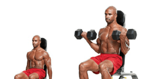 Seated Dumbbell Curl | Nasıl Yapılır? seated biceps dumbbell