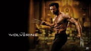 Wolverine program