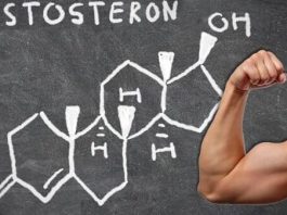 Testosterone