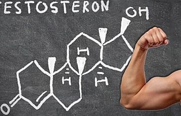 Testosterone