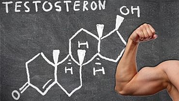 testosteron nedir