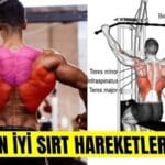 Sırt Hareketleri