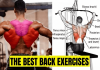 Back Exercises