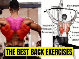 Back Exercises