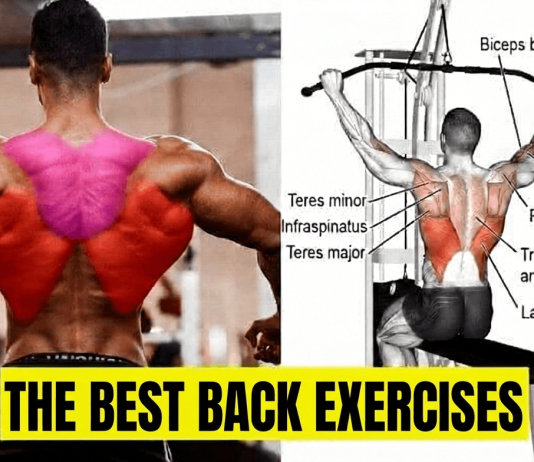 Back Exercises
